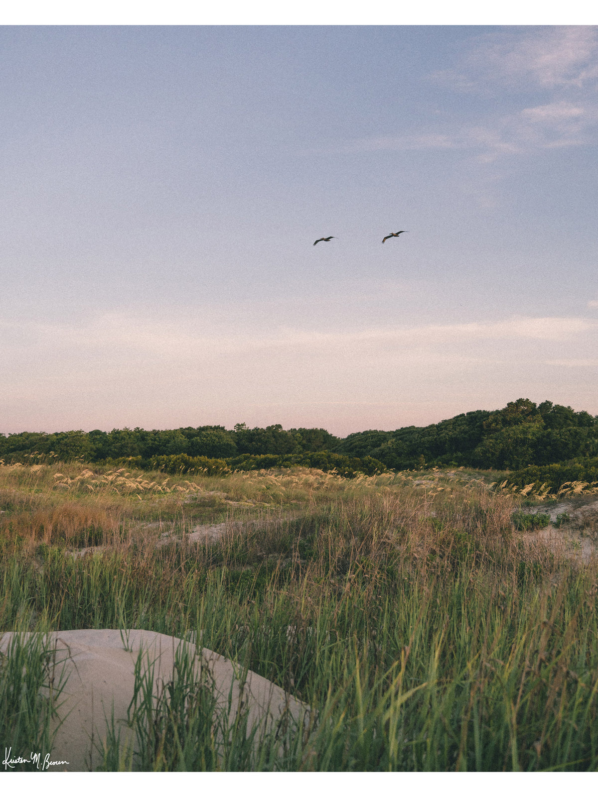 Before the day fully awakens at the beach, there is a quiet moment when nature greets you with a soft embrace of pastel hues, and the coastal world feels entirely yours. Across A wild expanse of dune grass and golden sea oats, two pelicans soar in effortless tandem against the gentle palette of dawn. In the background, lush maritime forest trees frame the horizon, while the soft, morning light washes over the dunes in calm, subtle tones. Sullivan’s Island in Charleston, SC “Morning Flight” photo print.