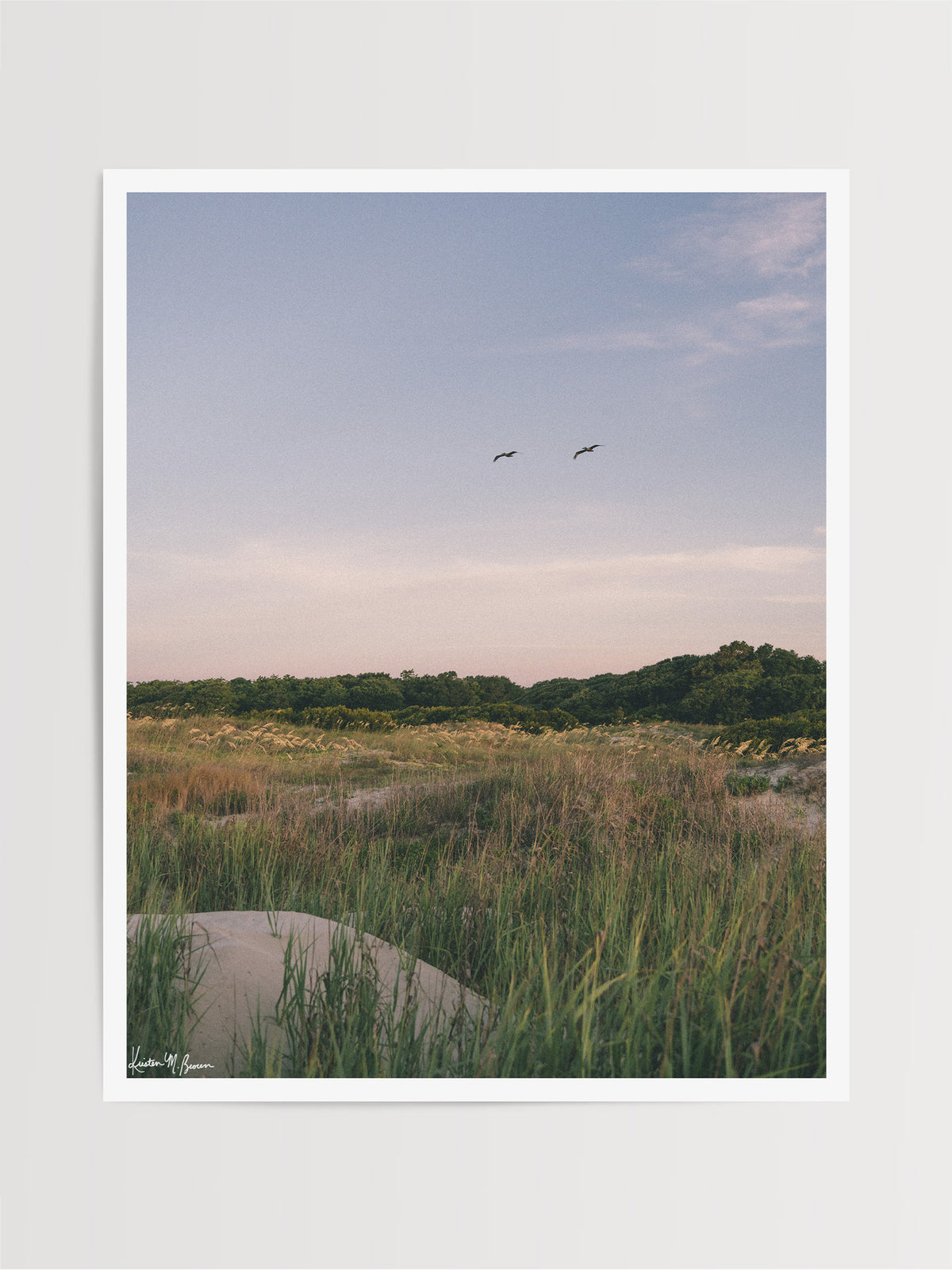 Before the day fully awakens at the beach, there is a quiet moment when nature greets you with a soft embrace of pastel hues, and the coastal world feels entirely yours. Across A wild expanse of dune grass and golden sea oats, two pelicans soar in effortless tandem against the gentle palette of dawn. In the background, lush maritime forest trees frame the horizon, while the soft, morning light washes over the dunes in calm, subtle tones. Sullivan’s Island in Charleston, SC “Morning Flight” photo print.