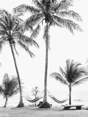 Can you feel that ocean breeze and warm sunshine kissing your skin as you sway in that hammock right about now? "No Palm-blems" is the perfect black and white print to help you have a piece of your happy place, no matter where you may live. Hammocks under palm trees at the beach in Costa Rica. Photo by Samba to the Sea.