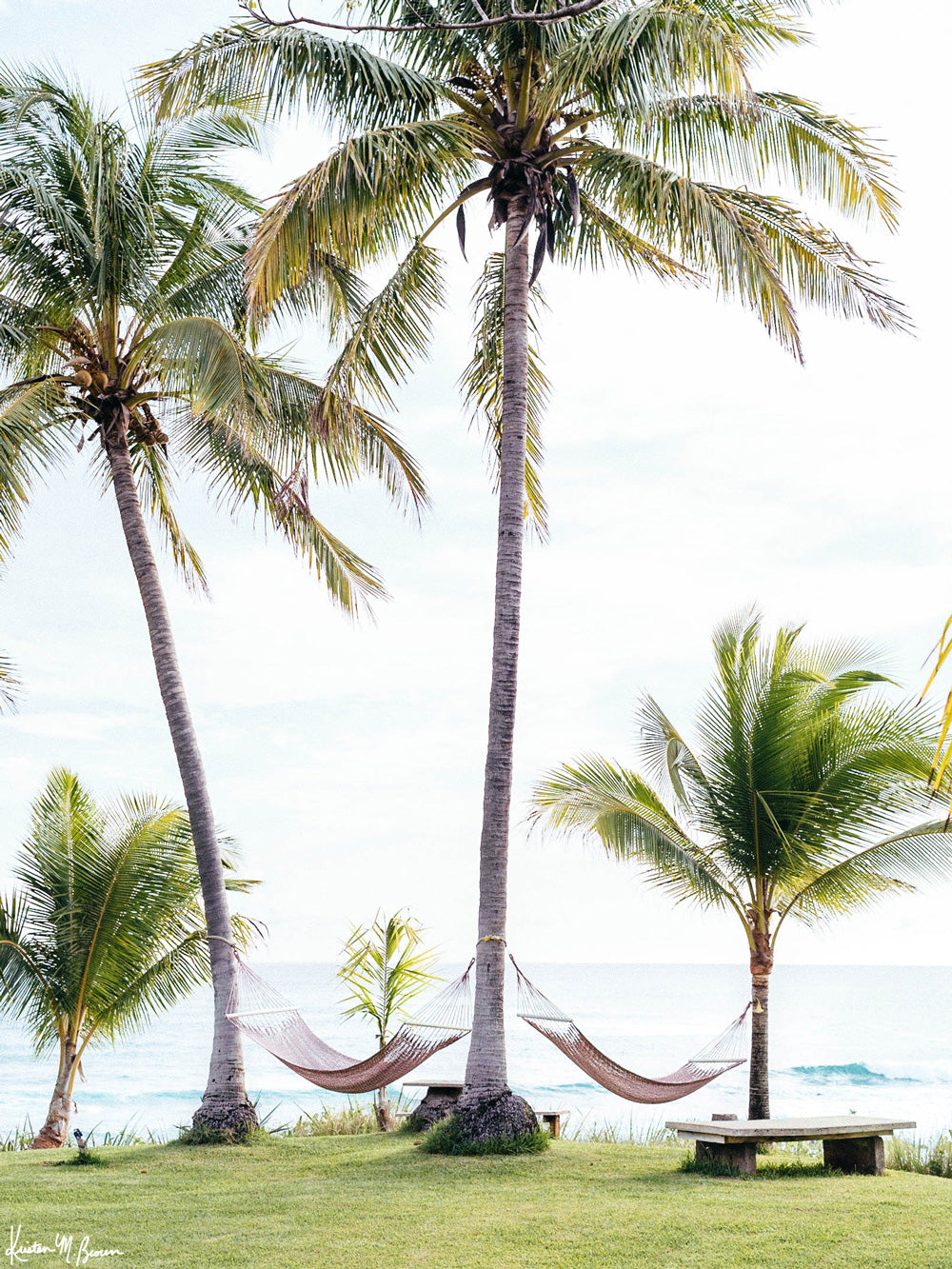 Ocean view hammocks under palm trees in Costa Rica. Beach print at The Sunset Shop by Samba to the Sea.