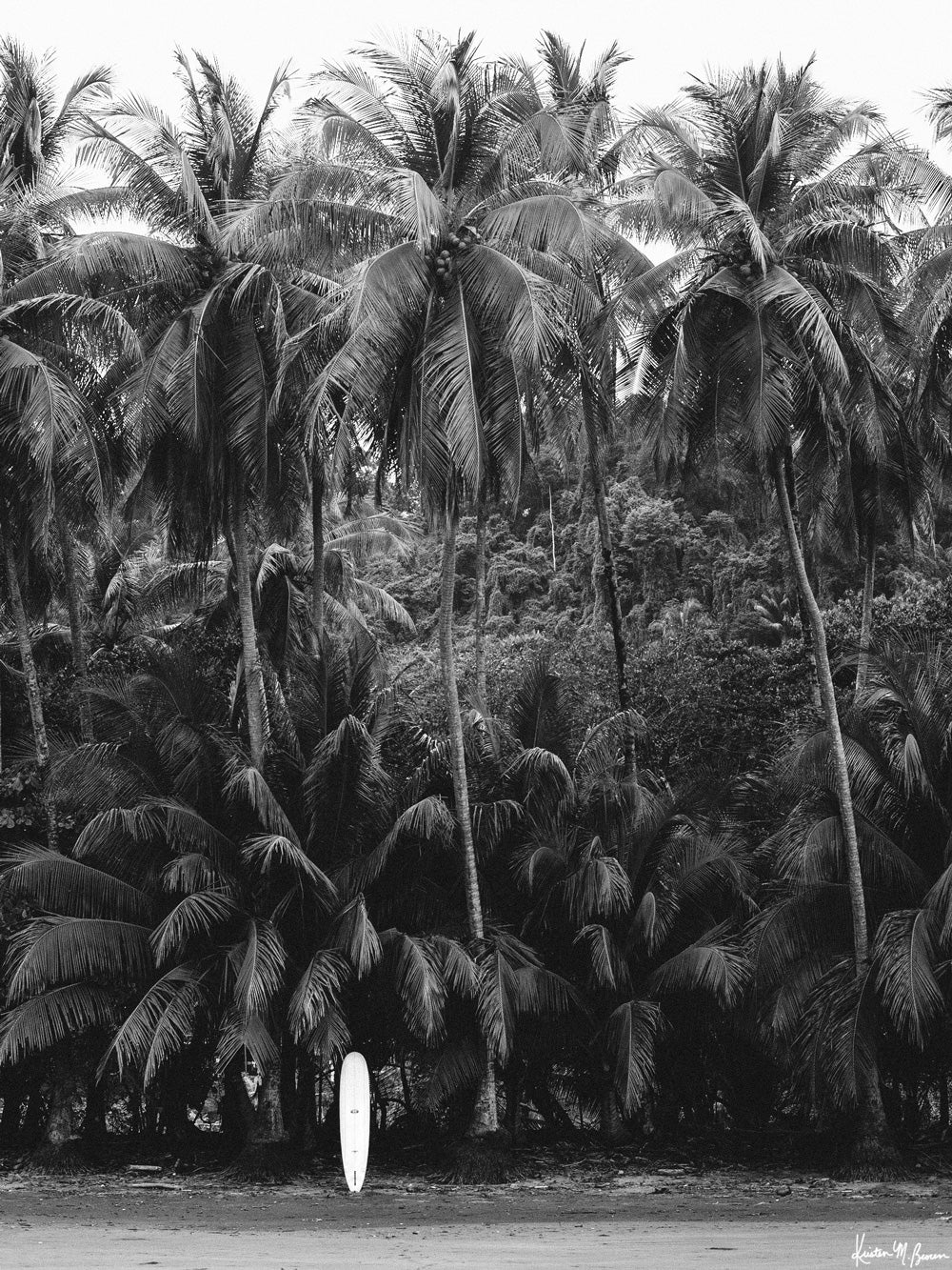 Urban outfitters store black and white Seventy Tree Tropical Art Print