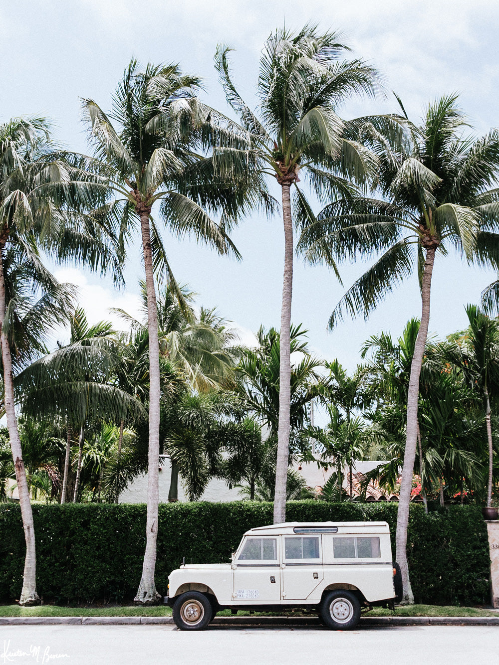 Vintage Land Rover Defender parked in front of palm trees in Palm Beach, Florida. Land Rover photo print by Kristen M. Brown of Samba to the Sea, available at The Sunset Shop