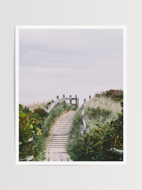 "Path to Fortune" photo print of beach path through the dunes in Coastal New England. Photographed by Kristen M. Brown of Samba to the Sea for The Sunset Shop.