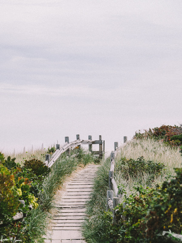 "Path to Fortune" photo print of beach path through the dunes in Coastal New England. Photographed by Kristen M. Brown of Samba to the Sea for The Sunset Shop.