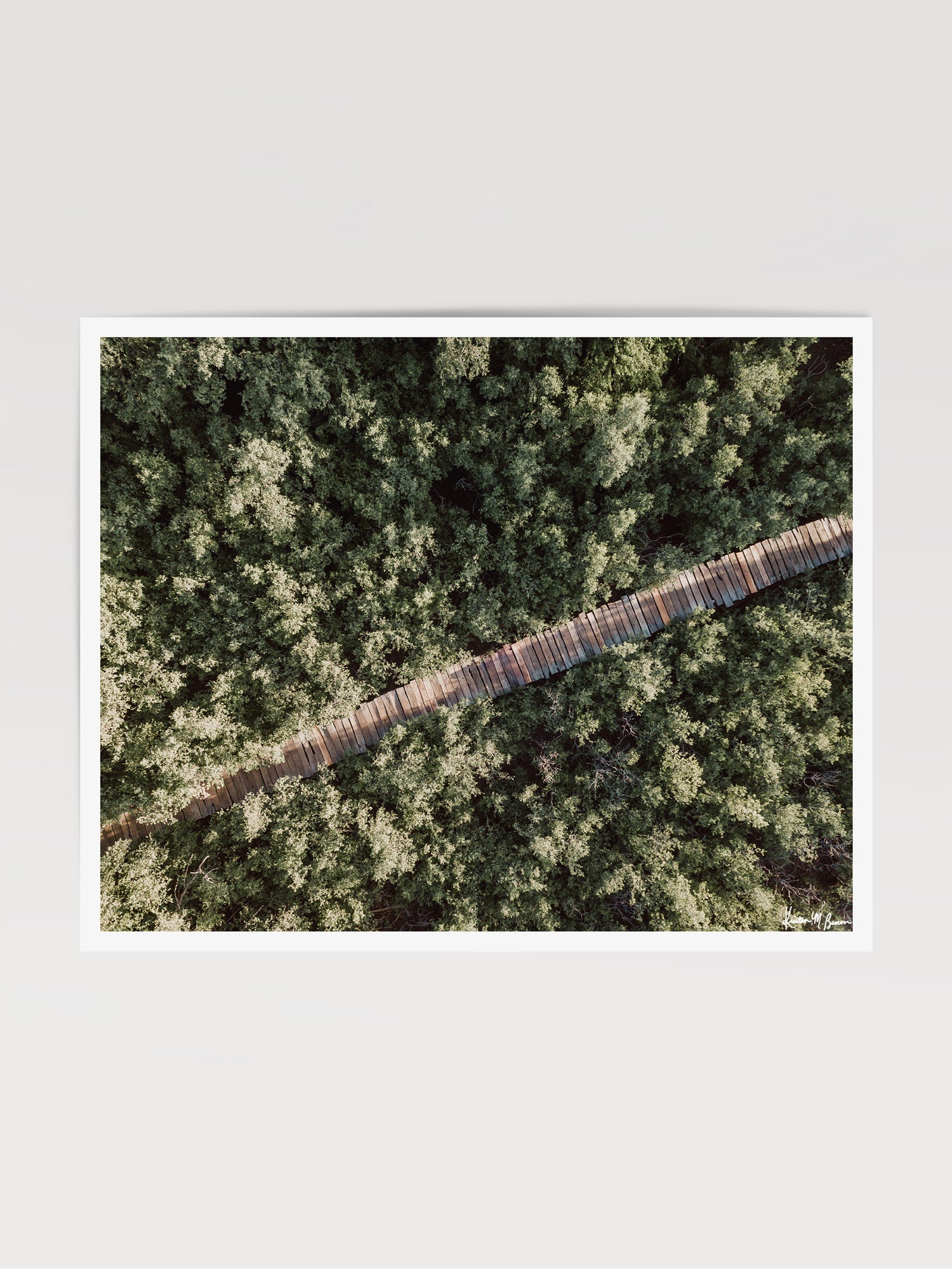The epitome of a magical pathway to surf heaven. Can't you just imagine it's you, your surfboard, and your surf buddies walking through this dreamy mangrove boardwalk path to the beach to catch perfect waves in Costa Rica?! Aerial mangrove beach boardwalk path print "Pathway to Surf Heaven" by Samba to the Sea.