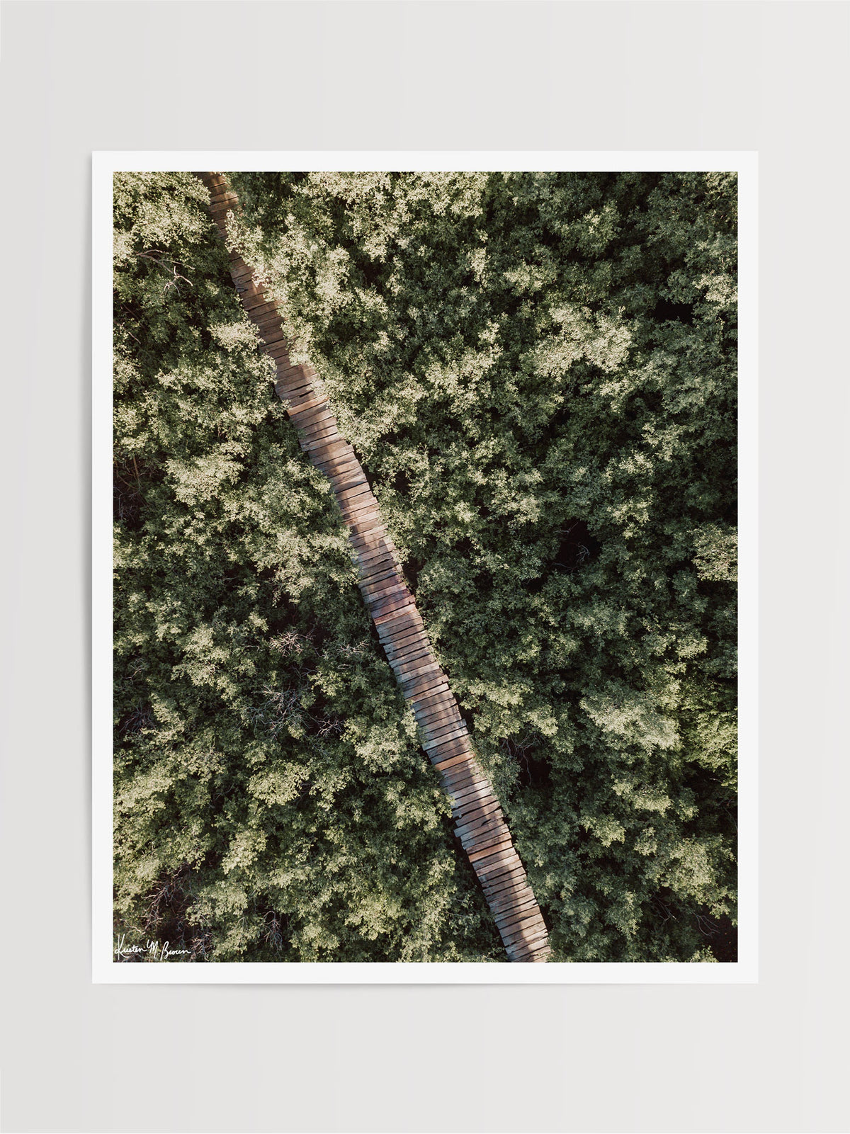 The epitome of a magical pathway to surf heaven. Can't you just imagine it's you, your surfboard, and your surf buddies walking through this dreamy mangrove boardwalk path to the beach to catch perfect waves in Costa Rica?! Aerial mangrove beach boardwalk path print "Pathway to Surf Heaven" by Samba to the Sea.