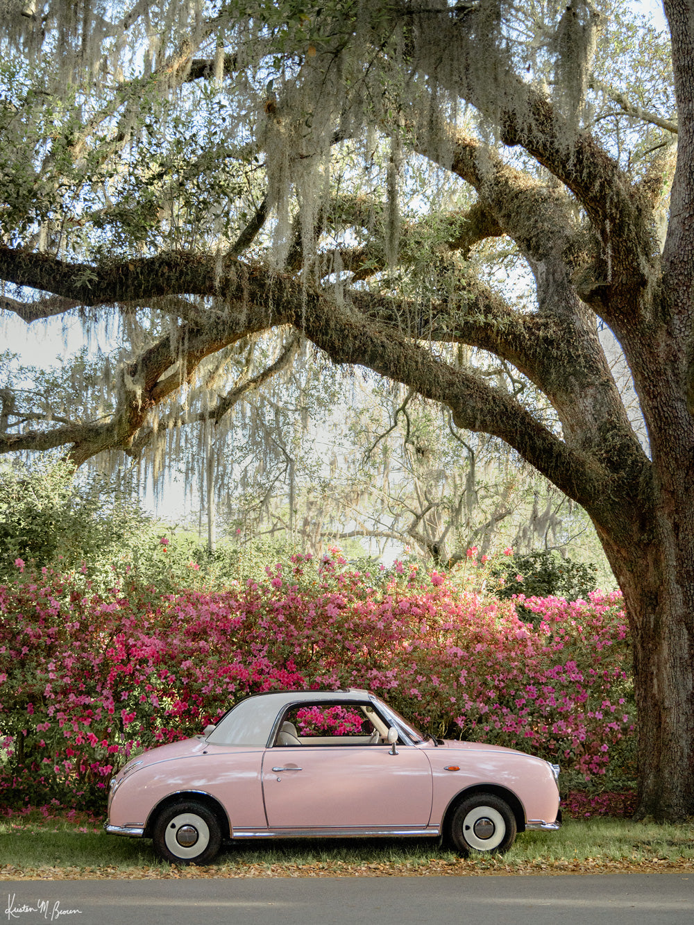 Photography of a pastel pink Figaro perfectly parked with blooming pink and magenta azaleas under an Oak tree in Charleston. “Pretty In Pink Blooming” photographed by Kristen M. Brown, Samba to the Sea.