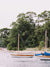 "Ready to Herreshoff" photo print of Herreshoff 12s in Quissett Harbor. Photographed by Kristen M. Brown of Samba to the Sea for The Sunset Shop.