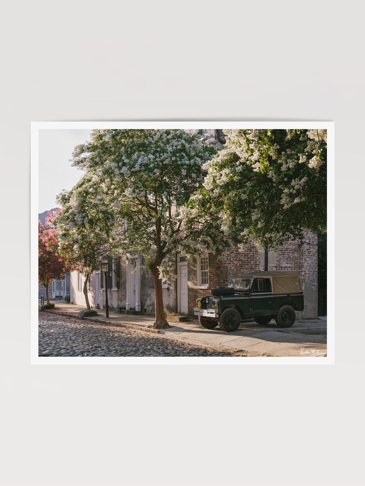 A vintage green Land Rover Series truck British Army version with tan canvas top, parked on a cobblestone street in historic Charleston with blooming white Crepe Myrtle flowers. “Rover Blooms” is a journey into the charming streets of historic Charleston, where beauty and nostalgia meet. Vintage Land Rover photo print by Kristen M. Brown of Samba to the Sea for The Sunset Shop.