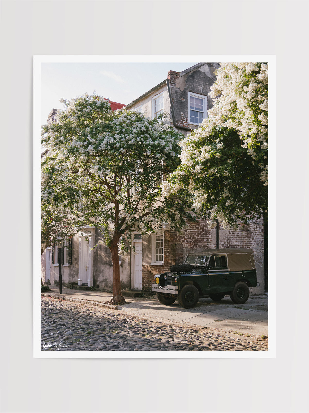 A vintage green Land Rover Series truck British Army version with tan canvas top, parked on a cobblestone street in historic Charleston with blooming white Crepe Myrtle flowers. “Rover Blooms” is a journey into the charming streets of historic Charleston, where beauty and nostalgia meet. Vintage Land Rover photo print by Kristen M. Brown of Samba to the Sea for The Sunset Shop.