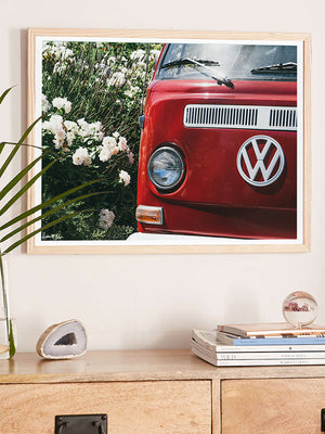 VW Bus photography print hanging in living room. Red VW Bus photo print in Southern California. “Sea Rose Bus” photo print of a beautiful vintage VW Bus parked next to white wea roses in California by Kristen M. Brown of Samba to the Sea for The Sunset Shop. 