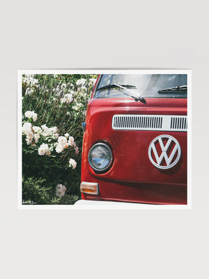 Red VW Bus photo print in Southern California. “Sea Rose Bus” photo print of a beautiful vintage VW Bus parked next to white wea roses in California by Kristen M. Brown of Samba to the Sea for The Sunset Shop. 
