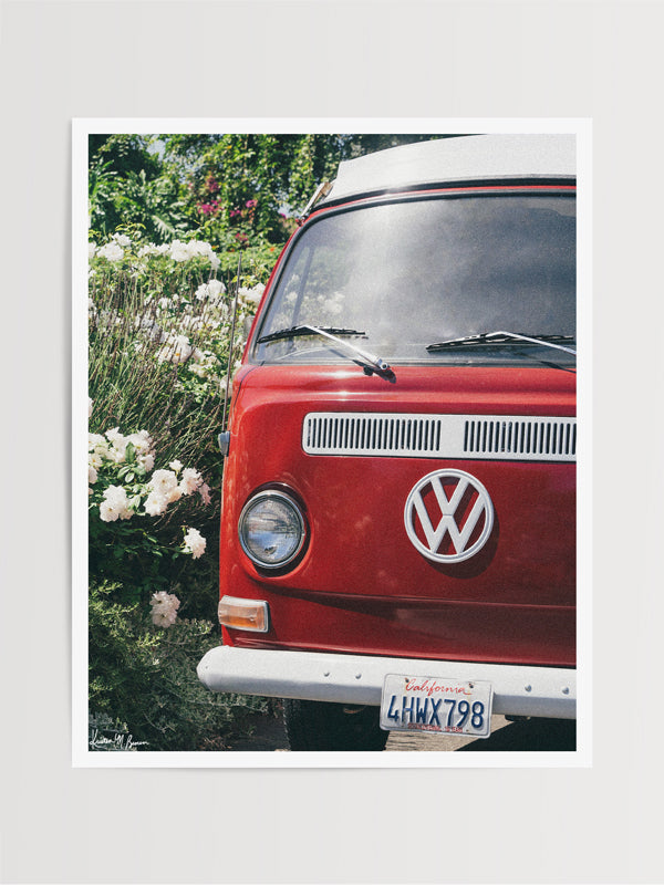 VW Bus photography print in bathroom. Red VW Bus photo print in Southern California. “Sea Rose Bus” photo print of a beautiful vintage VW Bus parked next to white wea roses in California by Kristen M. Brown of Samba to the Sea for The Sunset Shop. 