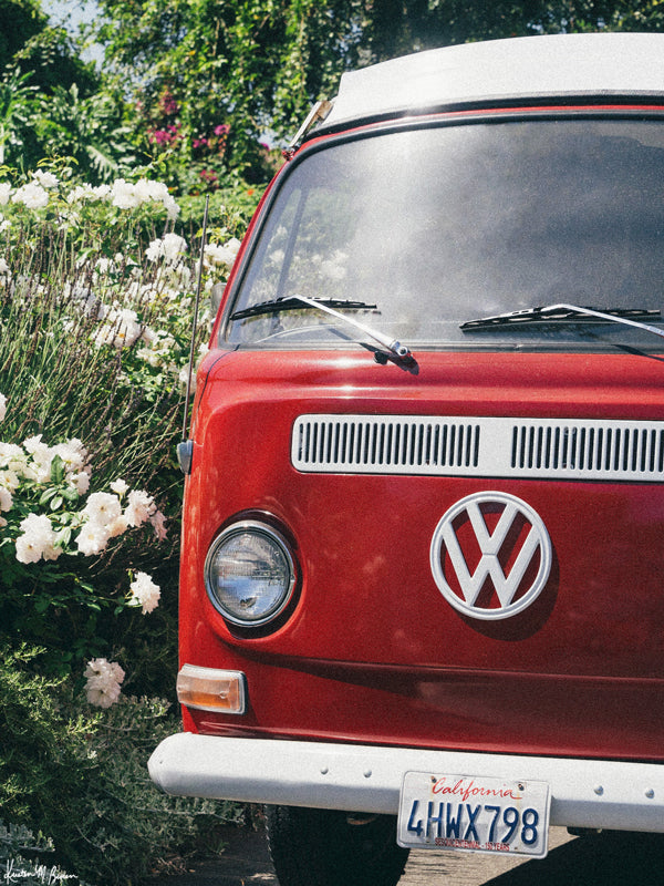 Red VW Bus photo print in Southern California. “Sea Rose Bus” photo print of a beautiful vintage VW Bus parked next to white wea roses in California by Kristen M. Brown of Samba to the Sea for The Sunset Shop. 