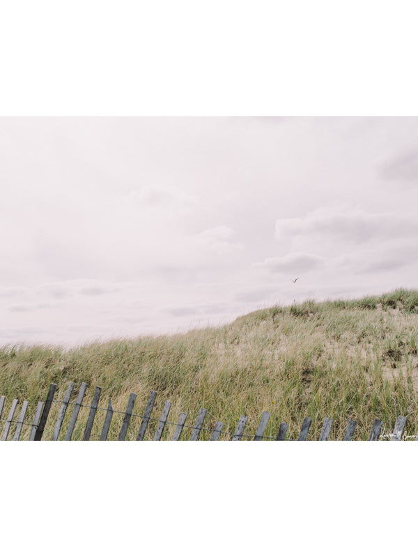 &quot;Seaduced&quot; photo print of rolling beach dunes along the New England coast in Plum Island, MA. Photographed by Kristen M. Brown of Samba to the Sea for The Sunset Shop.