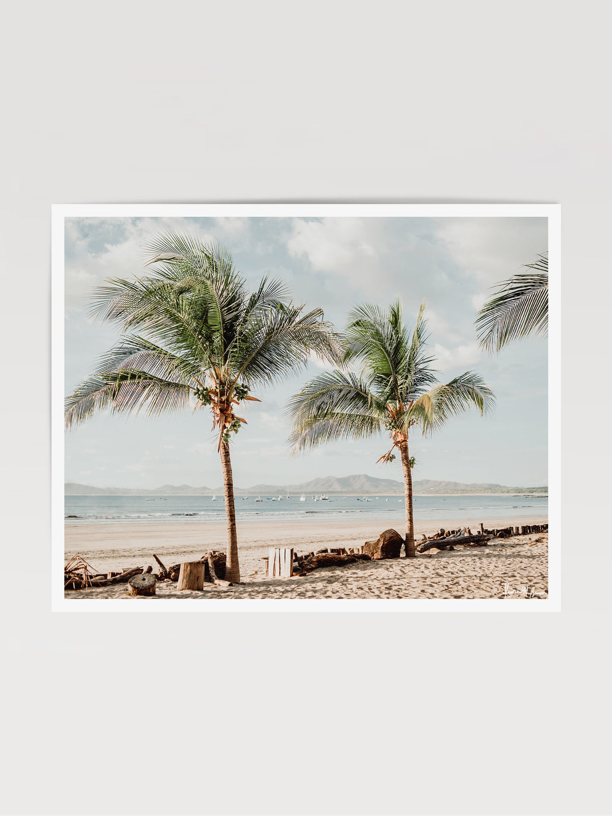Beach palm trees in Costa Rica. Fine Art beach print at The Sunset Shop by Samba to the Sea by Kristen M. Brown.