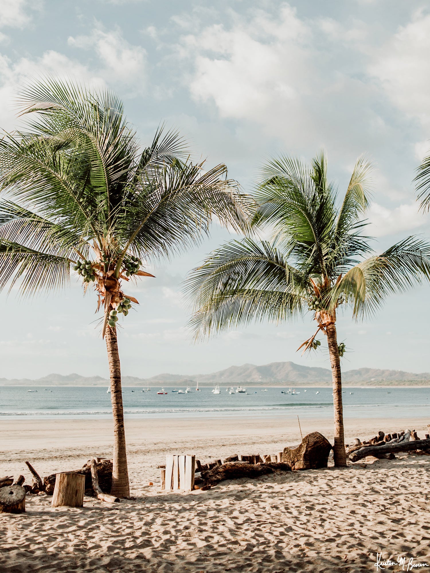 Beach palm trees in Costa Rica. Fine Art beach photograph at The Sunset Shop by Samba to the Sea by Kristen M. Brown.