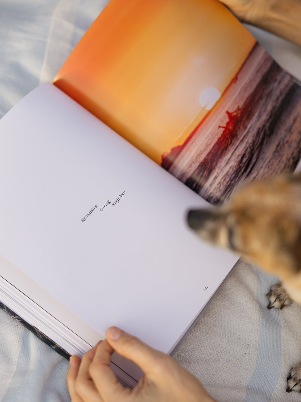 Costa Rica Coffee Table Book - SLICE OF PURA VIDA-DISE