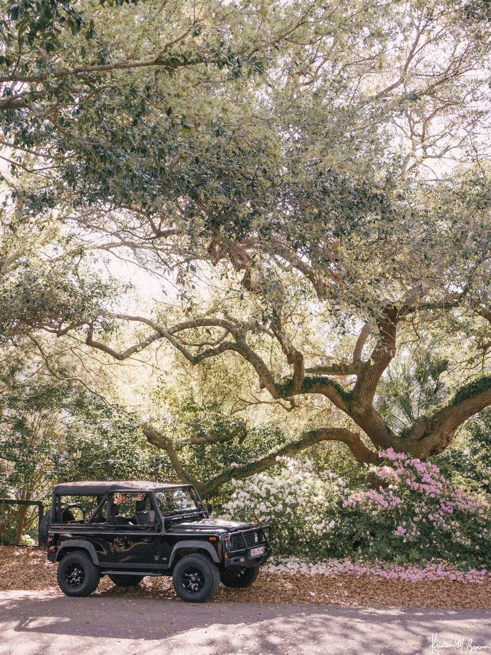 Experience the timeless ruggedness of a Land Rover Defender 90 set against the enchanting backdrop of the lush Lowcountry landscape. With the soft, early morning springtime sun filtering through the oak trees and the Azaleas in full bloom, this Rover is ready for it&#39;s weekend adventure! Photo print by Kristen M. Brown of Samba to the Sea for The Sunset Shop.