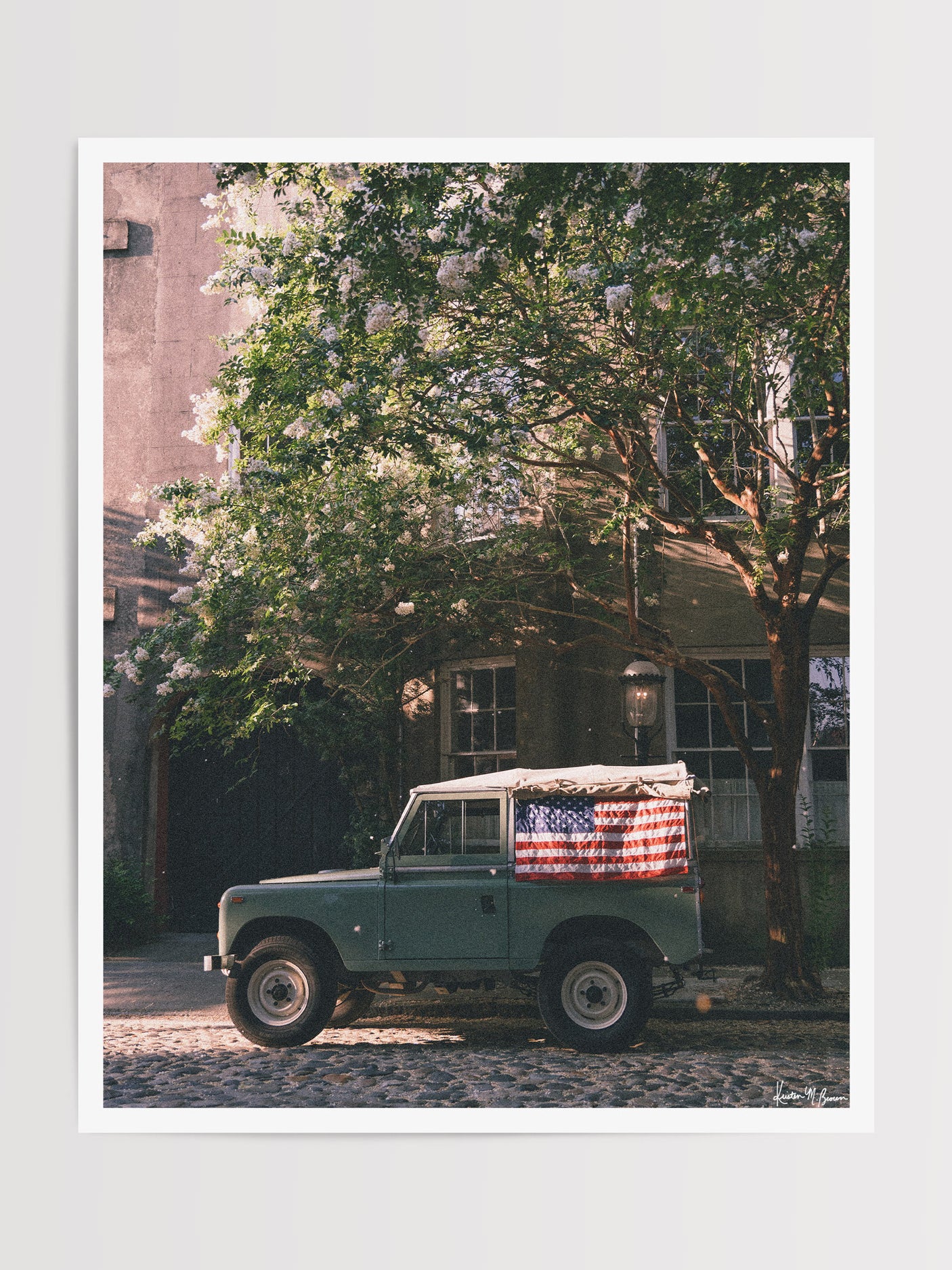 A vintage green Land Rover Series with an American flag draped over the rear window, parked on a cobblestone street in historic Charleston with blooming white Crepe Myrtle flowers. "Stars & Stripes & Series" is a journey into the charming streets of historic Charleston, where beauty and nostalgia meet. Vintage Land Rover photo print by Kristen M. Brown of Samba to the Sea for The Sunset Shop.