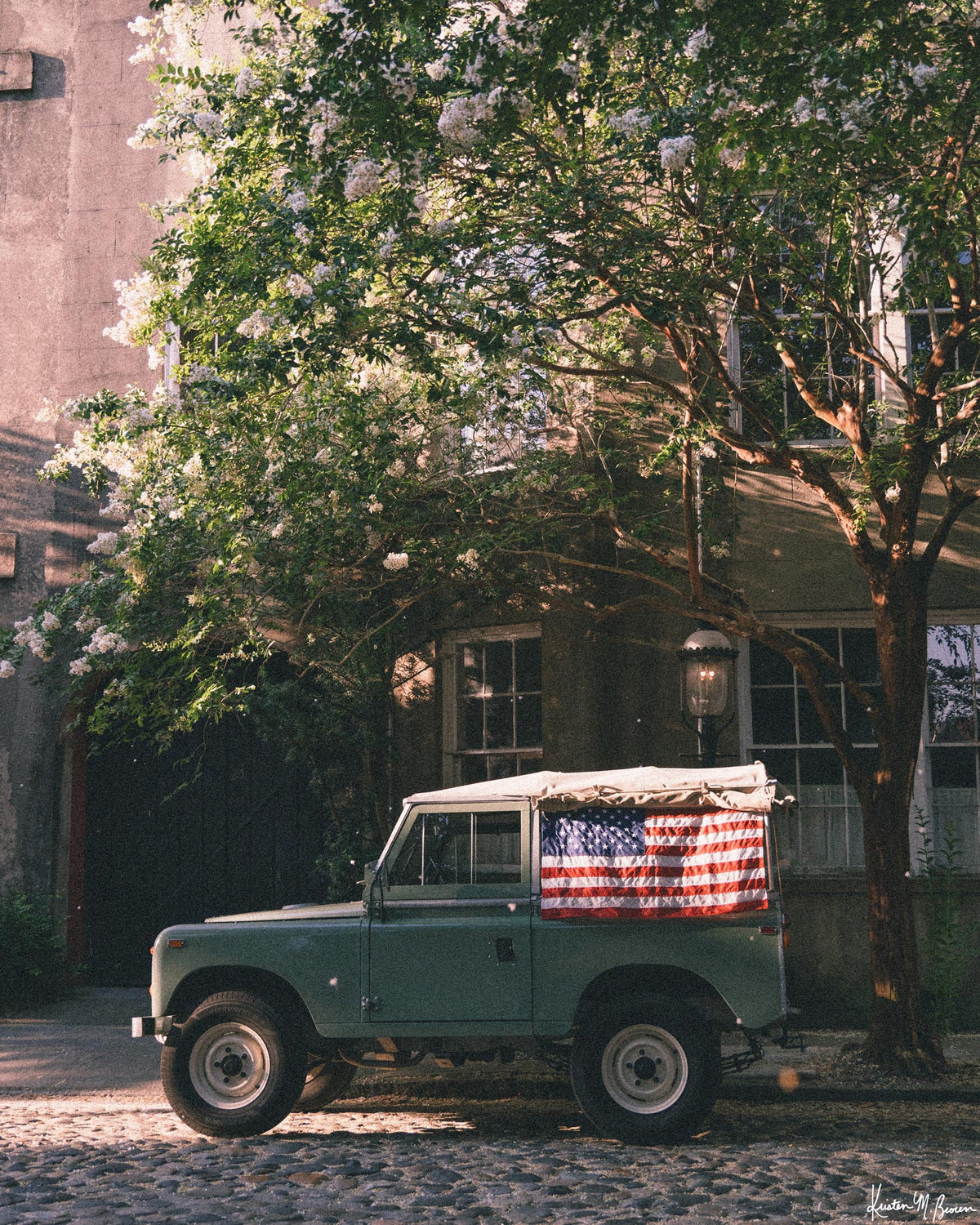 A vintage green Land Rover Series with an American flag draped over the rear window, parked on a cobblestone street in historic Charleston with blooming white Crepe Myrtle flowers. "Stars &amp; Stripes &amp; Series" is a journey into the charming streets of historic Charleston, where beauty and nostalgia meet. Vintage Land Rover photo print by Kristen M. Brown of Samba to the Sea for The Sunset Shop.