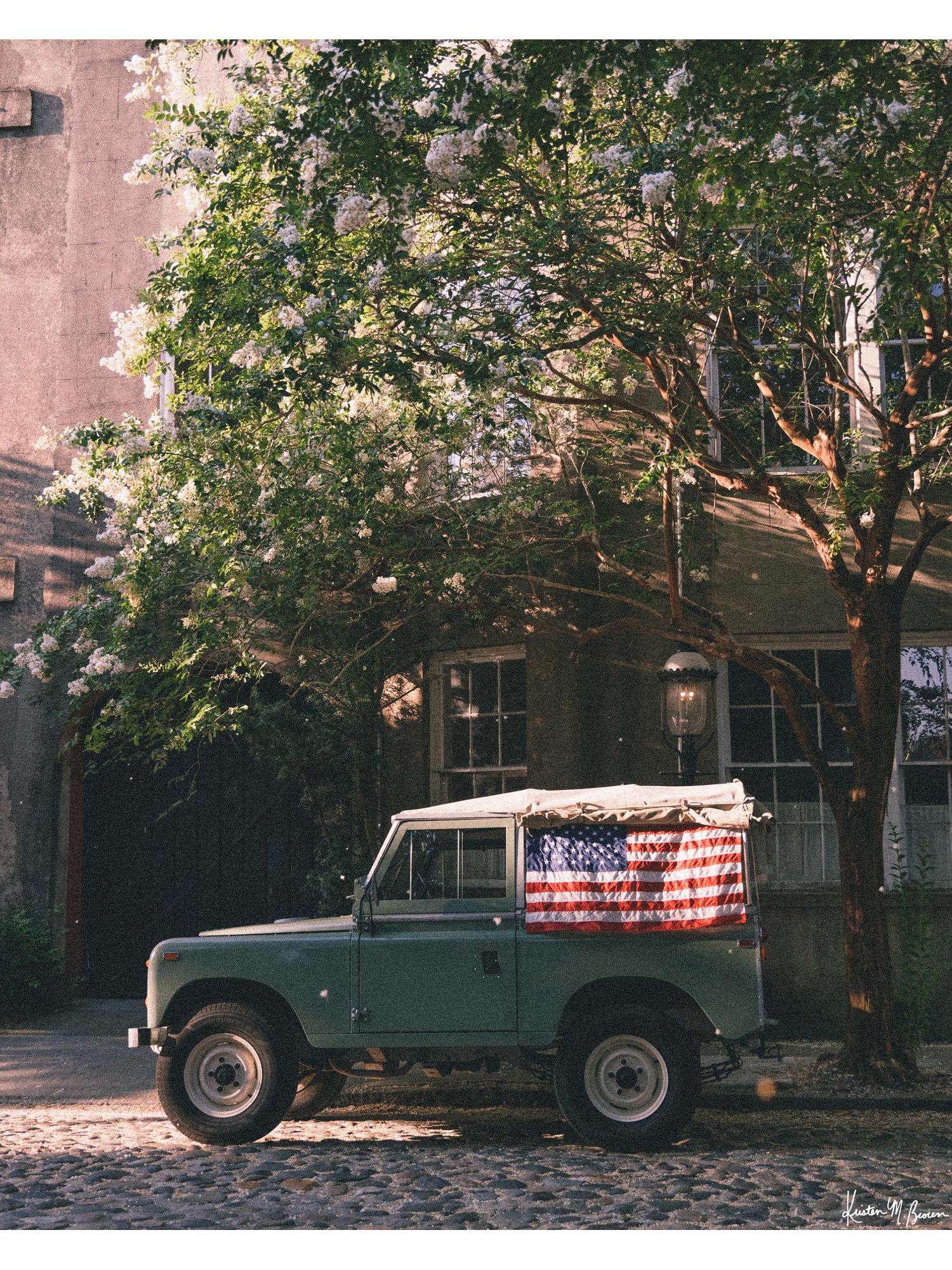 A vintage green Land Rover Series with an American flag draped over the rear window, parked on a cobblestone street in historic Charleston with blooming white Crepe Myrtle flowers. "Stars & Stripes & Series" is a journey into the charming streets of historic Charleston, where beauty and nostalgia meet. Vintage Land Rover photo print by Kristen M. Brown of Samba to the Sea for The Sunset Shop.