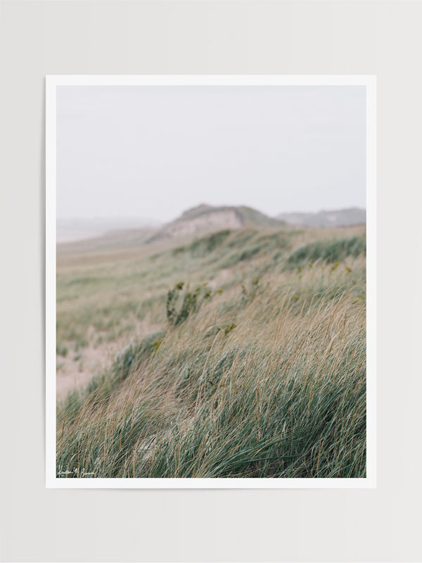 "Sugarplum" photo print of rolling beach dunes and beach grass in coastal New England, Plum Island, MA. Photographed by Kristen M. Brown of Samba to the Sea for The Sunset Shop.