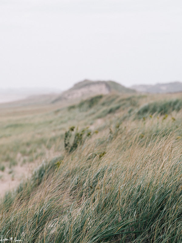 "Sugarplum" photo print of rolling beach dunes and beach grass in coastal New England, Plum Island, MA. Photographed by Kristen M. Brown of Samba to the Sea for The Sunset Shop.