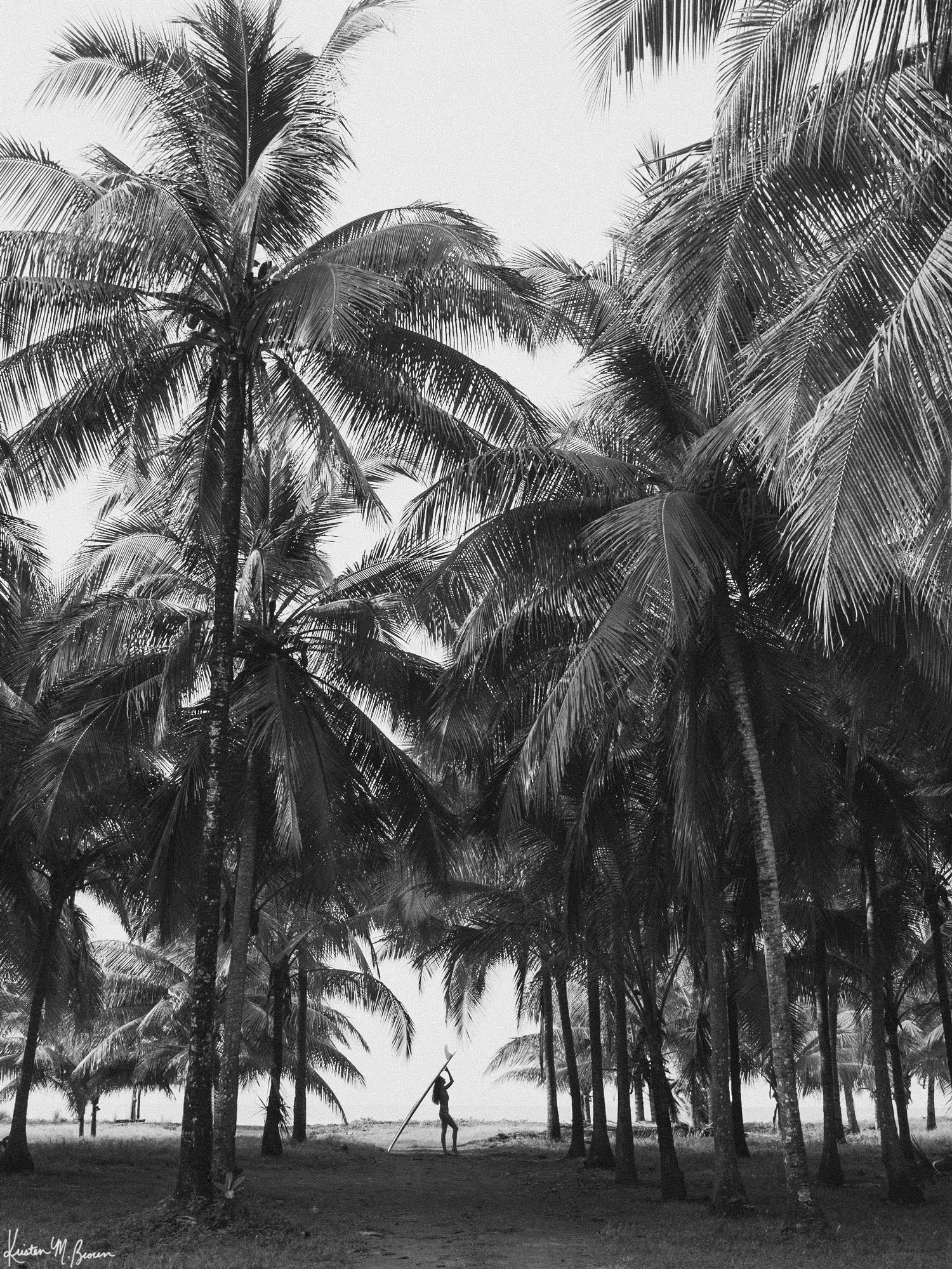 Surf Sirena - Black & White