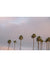 Palm trees sunset sky over Swami’s in Encinitas, California. “Swamis Sunset” palm tree sunset sky photo print by Kristen M. Brown of Samba to the Sea for The Sunset Shop.