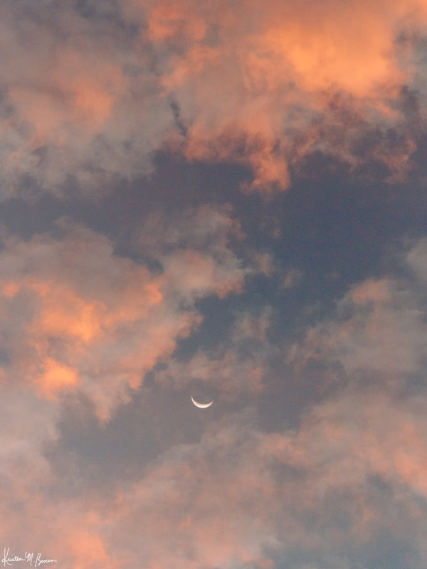 Crescent moon against a cotton candy pink sunrise sky in Savannah Georgia. To the Moon and Back II crescent moon print by Samba to the Sea at The Sunset Shop.