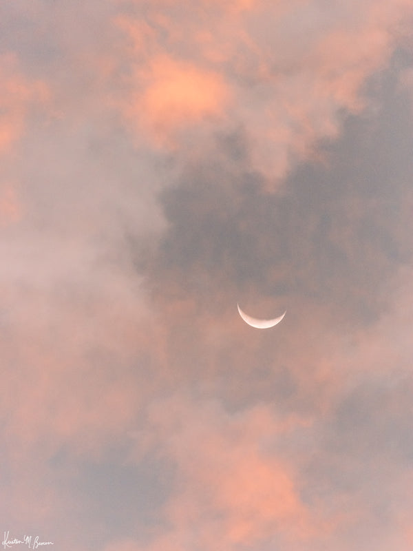 Crescent moon against a cotton candy pink sunrise sky in Savannah Georgia. To the Moon and Back crescent moon print by Samba to the Sea at The Sunset Shop.