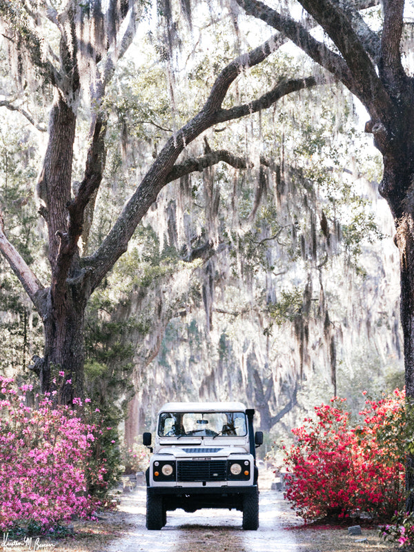 You just know that an adventure is calling when it's that time of year with Savannah's azaleas are vibrantly blooming. So hop on in to this dreamy white Land Rover Defender and experience the magic that is Savannah in full bloom. " 'Venture Rover" Land Rover photo print by Kristen M. Brown of Samba to the Sea for The Sunset Shop.