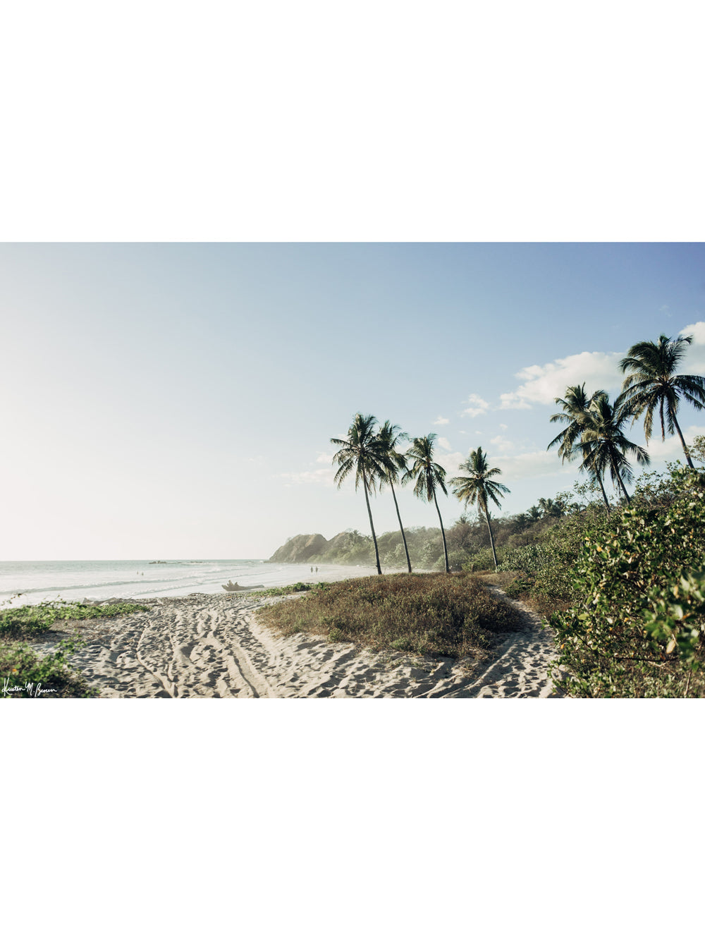 Palm trees at the beach in Nosara Costa Rica (Playa Guiones). Photographed by Samba to the Sea for The Sunset Shop.