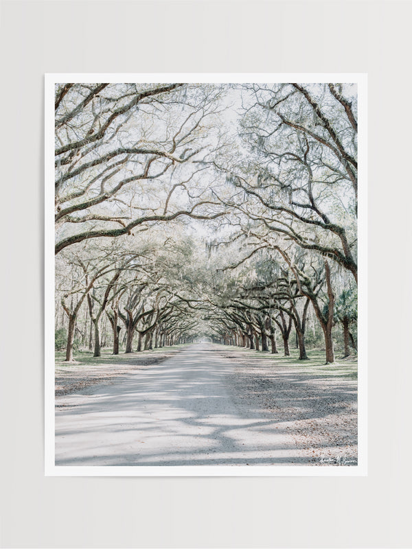 Wormsloe