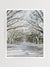 Dreamy Spanish Moss Oak Tree lined driveway at Wormsloe Plantation in Savannah, Georgia. Photographed by Kristen M. Brown, Samba to the Sea at The Sunset Shop.