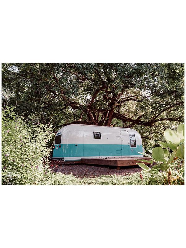 It's all about those simple things in life...an Airstream, a jungle garden like this, dreamy waves down a beach path, some magical sunsets and you're all set.   White and turquoise Airstream Land Yacht Trade Wind parked under a magical tree in Playa Guiones / Nosara, Costa Rica. "Airstream Dreaming" photographed by Kristen M. Brown, Samba to the Sea for The Sunset Shop.