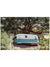 It's all about those simple things in life...an Airstream, a jungle garden like this, dreamy waves down a beach path, some magical sunsets and you're all set.   White and turquoise Airstream Land Yacht Trade Wind parked under a magical tree in Playa Guiones / Nosara, Costa Rica. "Airstream Dreaming" photographed by Kristen M. Brown, Samba to the Sea for The Sunset Shop.