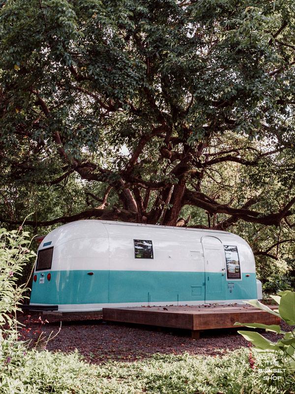 It&#39;s all about those simple things in life...an Airstream, a jungle garden like this, dreamy waves down a beach path, some magical sunsets and you&#39;re all set.   White and turquoise Airstream Land Yacht Trade Wind parked under a magical tree in Playa Guiones / Nosara, Costa Rica. &quot;Airstream Dreaming&quot; photographed by Kristen M. Brown, Samba to the Sea for The Sunset Shop.