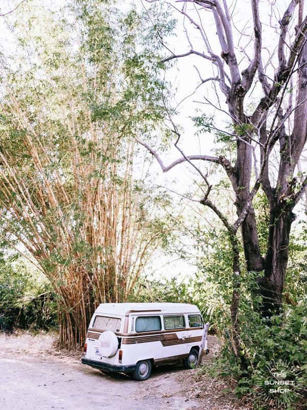 Bamboo Bus