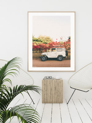 Tropical neutral living room with palms, Acapulco chair, and vintage Land Cruiser and surfboards wall art. "Blooming and Cruising" photo print of vintage Toyota FJ40 Land Cruiser racked up with surfboards among vibrantly blooming Bougainvillea flowers in Costa Rica. Photographed by Costa Rica photographer Kristen M. Brown of Samba to the Sea for The Sunset Shop.