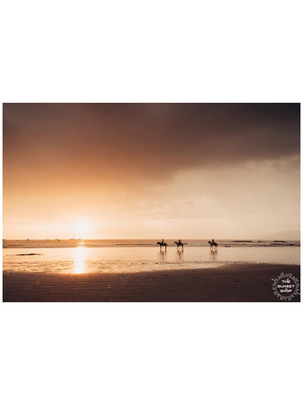 Horses on the beach during a beautiful golden sunset in Costa Rica. Photographed by Samba to the Sea for The Sunset Shop.