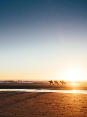 Horseback ride on the beach in Cannon Beach, Oregon during a golden sunset. Horseback riding on the beach by Haystack Rock. "Cannon Beach Gold" golden beach sunset print by Kristen M. Brown, Samba to the Sea.