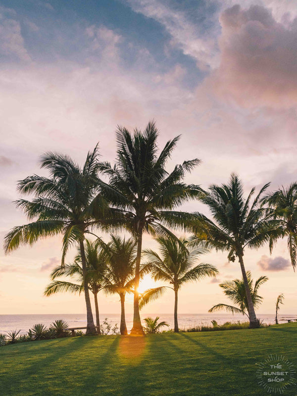 Palm tree sunset sky at Diosa del Mar in Playa Junquillal in Costa Rica. Photographed by Kristen M. Brown, Samba to the Sea for The Sunset Shop.