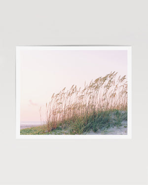 "Feels Like Summer" Tybee Beach sunrise photograph print. Pastel sunrise over the sea oats and sand dunes in Tybee Island, Georgia. Photographed by Kristen M. Brown of Samba to the Sea for The Sunset Shop.