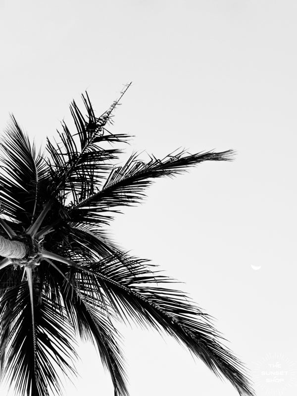 May you never be too busy to stop and dream under a palm tree. "Find Me Under the Palms" black and white palm tree print by Kristen M. Brown of Samba to the Sea for The Sunset Shop.