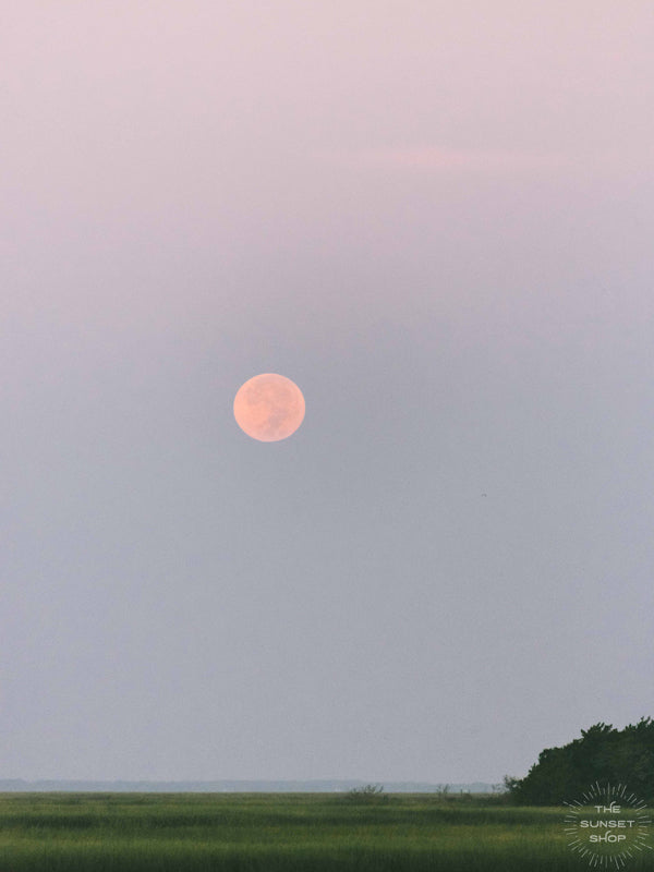 Good night moon! 😍🌝🌅 It definitely is worth waking up before sunrise when you get to see this beautiful sight, the full moon glowing pink as it sets over the marsh in Savannah, GA. "Full Moon Marsh" photo by Kristen M. Brown of Samba to the Sea for The Sunset Shop.
