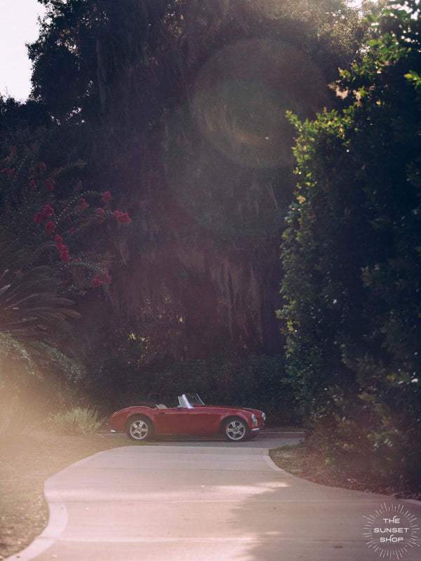 You that top down, wind in your hair, late afternoon sun kissing your face feeling? Yeah, that feeling of carefree days -- it&#39;s a feeling like no other. Especially when you&#39;re rolling in a gorgeous Austin Healey in a vibrant shade of red that purrs like no other. &quot;Furia Roja - Red Fury&quot; classic sports car photo print by Kristen M. Brown of Samba to the Sea for The Sunset Shop.