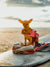 Gidget Goes Surfing in Tamarindo Costa Rica! Photo of Gidget the Chihuahua sitting on a surfboard on the beach in Tamarindo Costa Rica during sunset. Gidget is sitting on a Faherty Brand poncho and Wingnut Noserider surfboard and wearing a pink polka dog dog life vest.