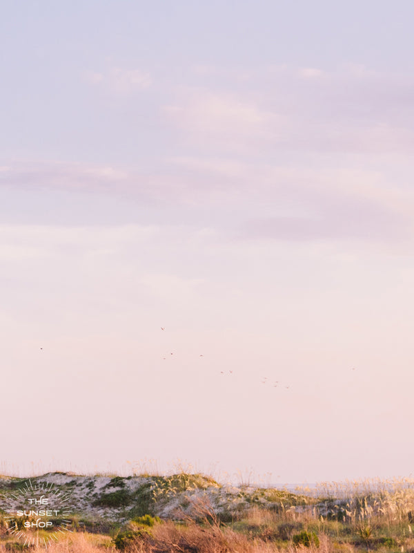 Because there's just something magical waking up early to watch sunrise at the beach, greeting your happy place with a beautiful, "Good Morning Beach!"  Pastel sunrise over the sand dunes in Tybee Island, Georgia photographed by Kristen M. Brown, Samba to the Sea.